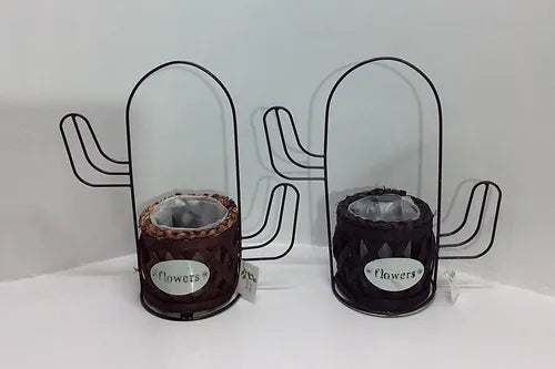 סלסלה קקטוס