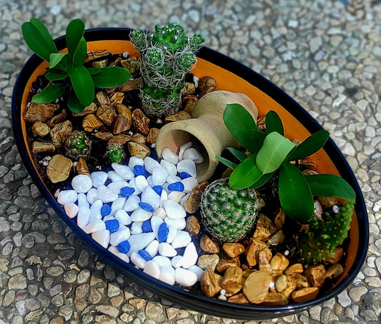 עיצוב נחל אובאלי