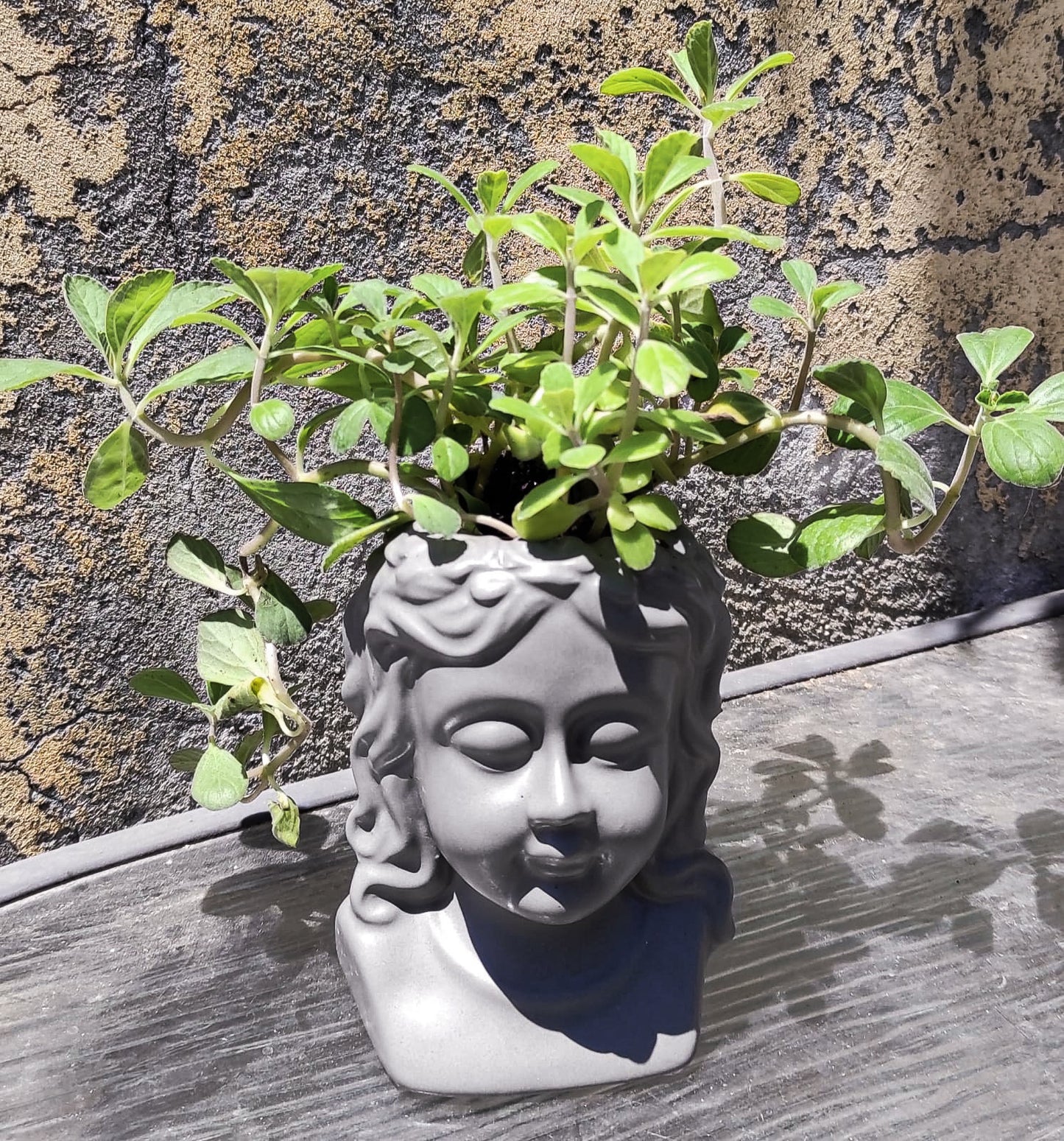 אשת האבן האצילה