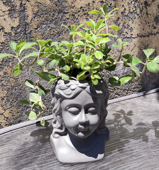 אשת האבן האצילה