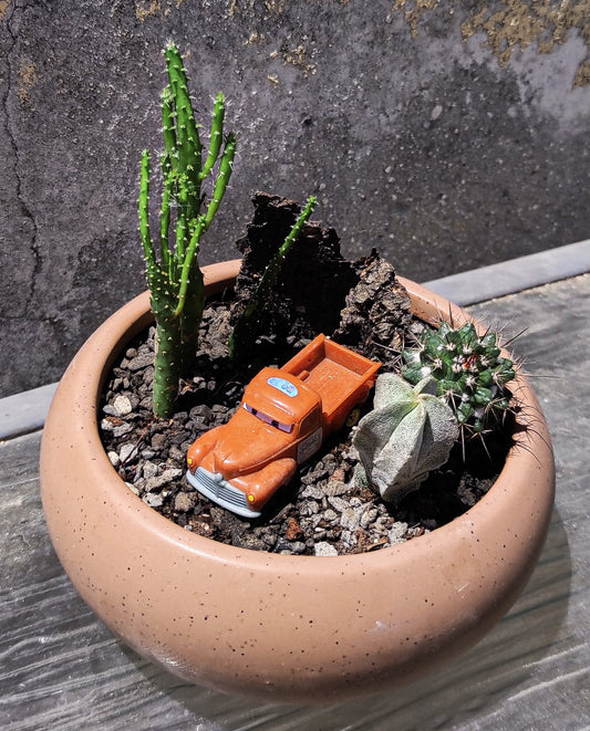 קומפוזיציה בשטח